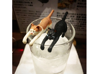 久しぶりのガチャガチャ_20170411_1