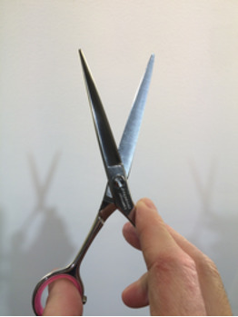 平日はいつでも！_20170422_1