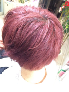 春だし_20170423_1