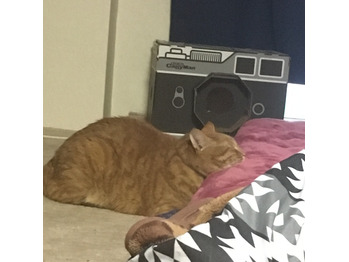 晴天！GW！！_20170430_1