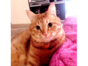 晴天！GW！！_20170430_2