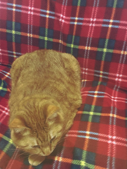 晴天！GW！！_20170430_3