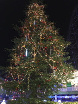 12月は前半がオススメ！_20171204_1