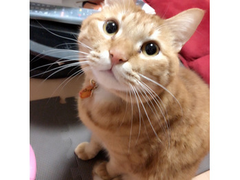 2017年もあとわずか！_20171222_1