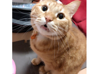 2017年もあとわずか！_20171222_2