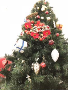 メリークリスマス_20171225_1