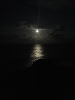 謹賀新年_20180106_1