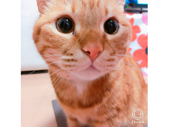 久々登場！最近の福様。_20180308_1