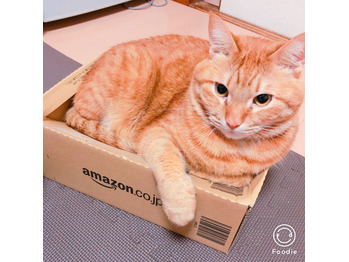 久々登場！最近の福様。_20180308_2