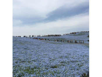 ゴールデンウィーク_20170509_1
