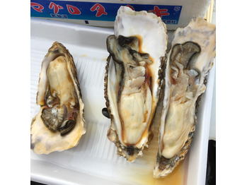 ゴールデンウィーク_20170509_2