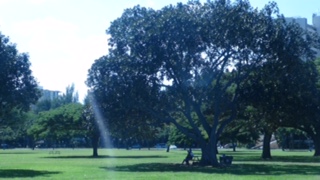 明け過ぎてしまってすいません・・・汗