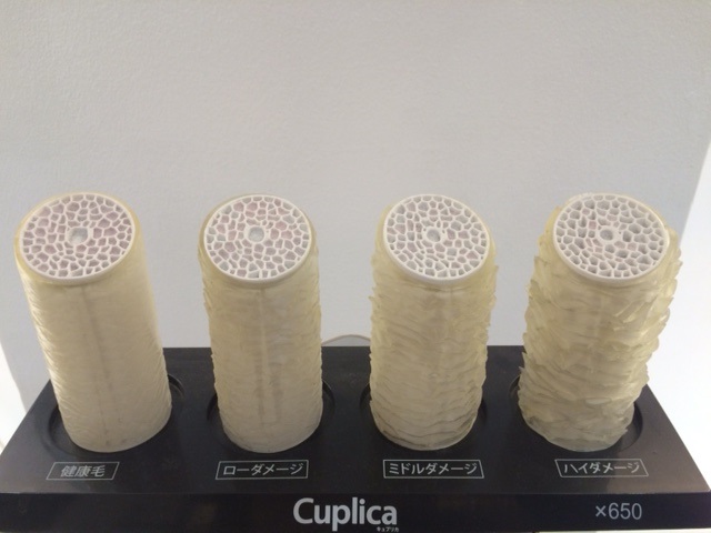 ダメージ（傷み）はどのように起こる？