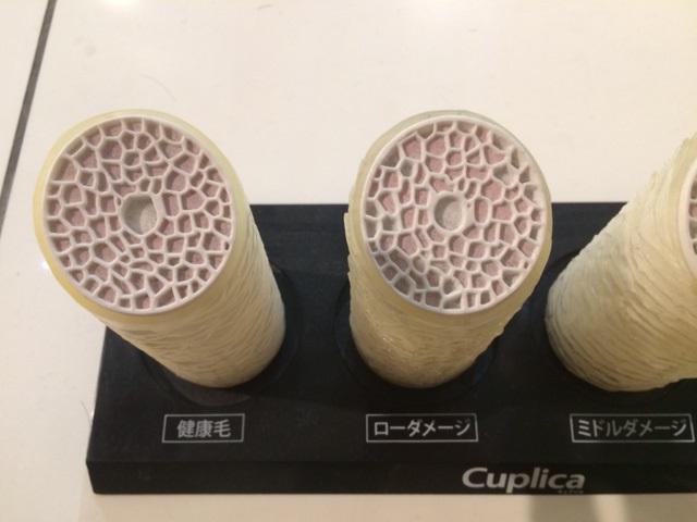 ダメージ（傷み）はどのように起こる？