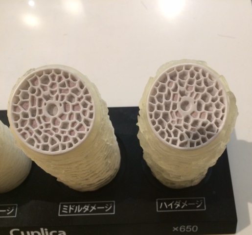 ダメージ（傷み）はどのように起こる？