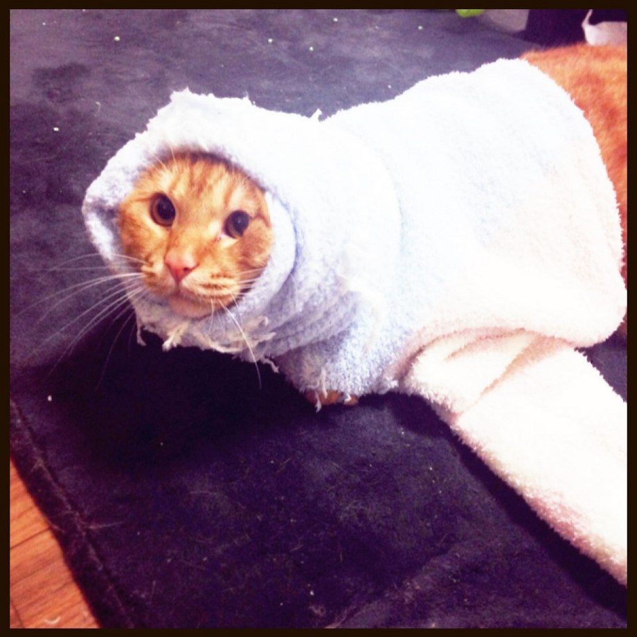 保湿！加湿！！　　　　　　　　池袋美容室　HAAAT　東口店