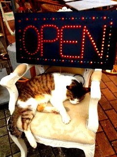 江の島～♪　　　　　　　　　　　　池袋美容室　ＨＡＡＡＴ　東口店