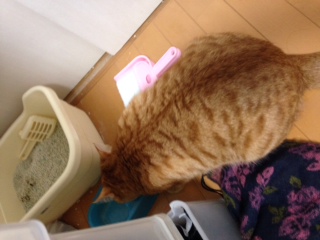 NEWアイテム 池袋美容室 HAAAT 東口店