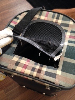 怪獣(@_@) 池袋美容室 HAAAT 東口店