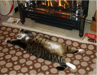 NEWアイテム 池袋美容室 HAAAT 東口店