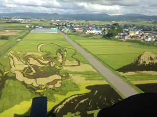 高橋の夏休み 池袋美容室 HAAAT 東口店