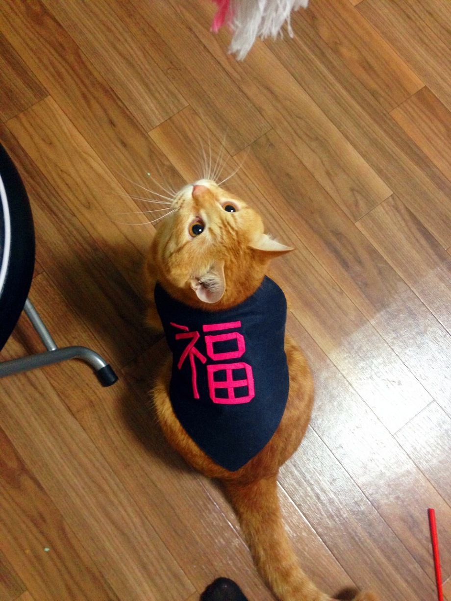 最近の福丸氏。 池袋美容室 HAAAT 東口店