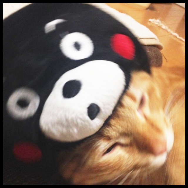 ゆるキャラ♪くまもん??? 池袋美容室 HAAAT 東口店