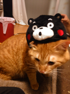 ゆるキャラ♪くまもん??? 池袋美容室 HAAAT 東口店