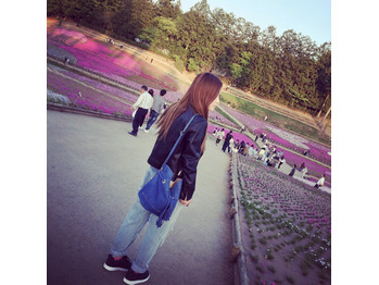 そろそろ見頃!埼玉秩父の芝桜!!