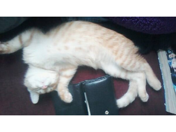 5歳になりました！