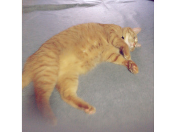 5歳になりました！