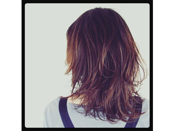 ソフトウルフがアツイ！