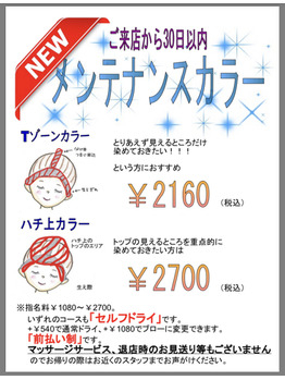 とりあえずの見えるとこだけカラー!