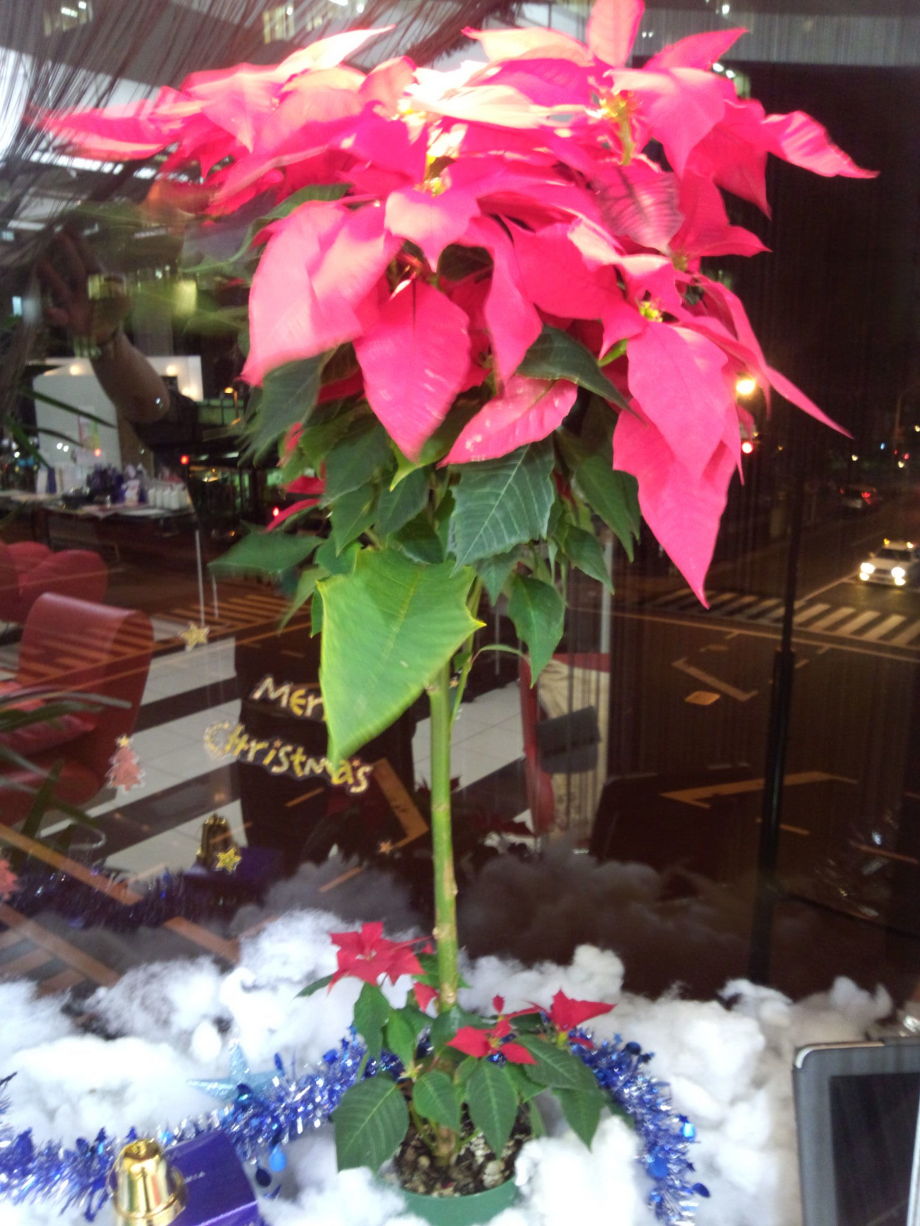 いつもありがとうございます!!