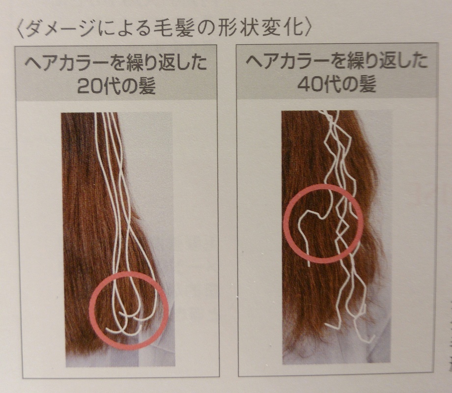 エイジング毛とは?