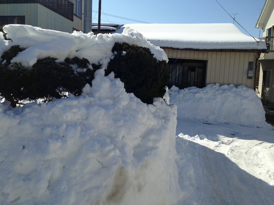 in 青森☆　池袋　美容室　HAAAT