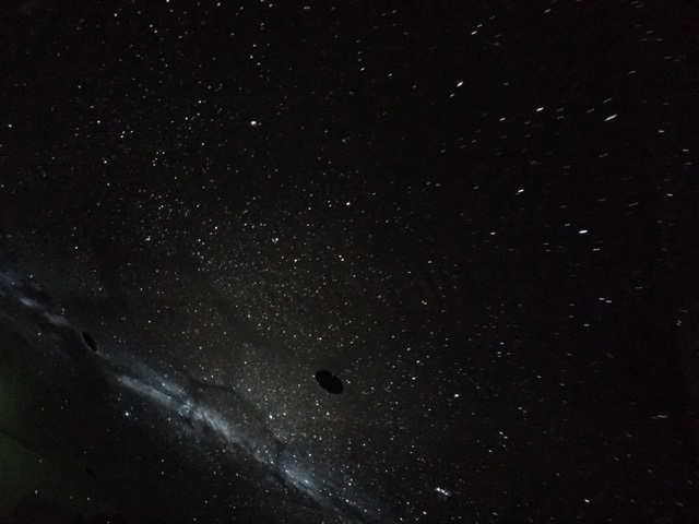 やっぱりここ！