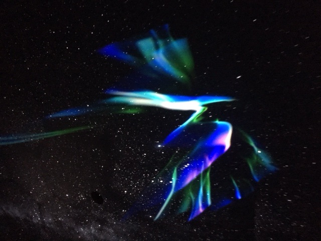 やっぱりここ！