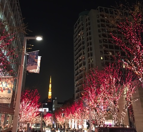 やっぱりここ！