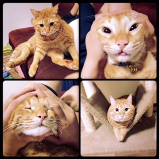 ダイエット！！　　　　　　池袋美容室ＨＡＡＡＴ東口店