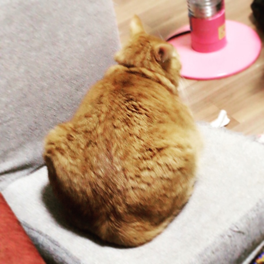 ダイエット！！　　　　　　池袋美容室ＨＡＡＡＴ東口店