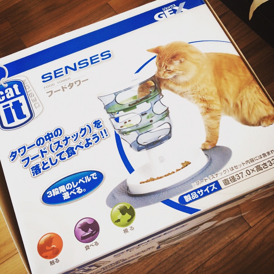 ダイエット！！　　　　　　池袋美容室ＨＡＡＡＴ東口店