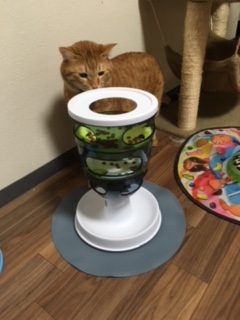 ダイエット！！　　　　　　池袋美容室ＨＡＡＡＴ東口店