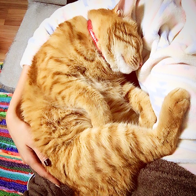 最近の福ちゃん