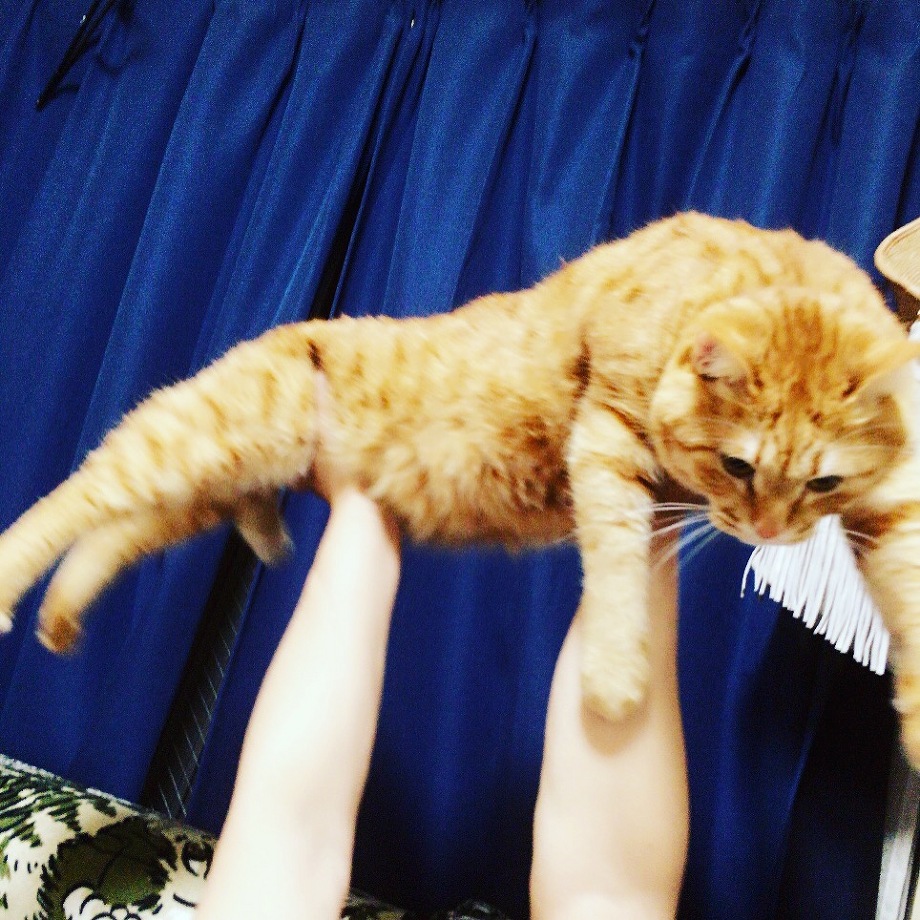 最近の福ちゃん