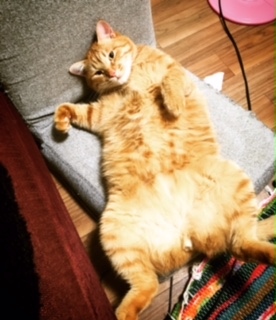 今春のトレンドカラーは？？ピンクがアツい！！