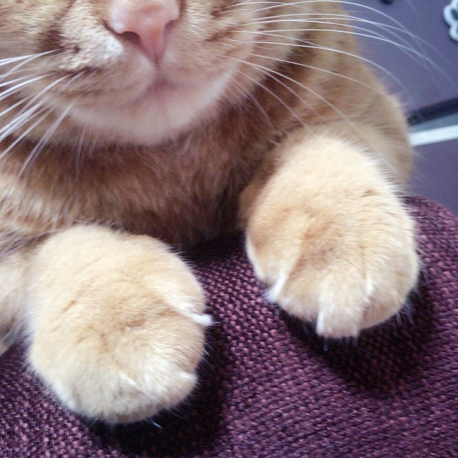 ヌーディーカラー☆ネイル