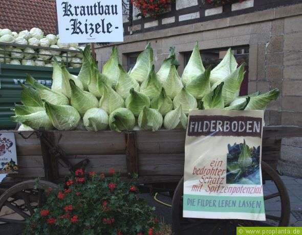 最近のツボだったもの。