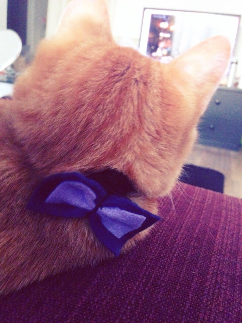 秋田水族館～入道崎