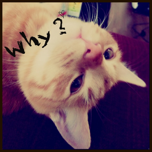 秋田水族館～入道崎